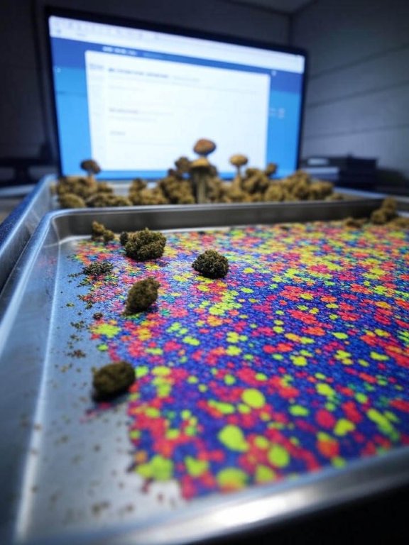 How the Darknet Makes Drug Trade More Efficient onion dark website